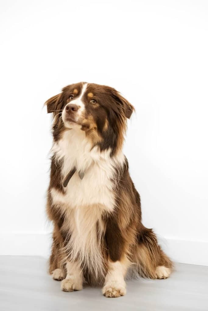 sam