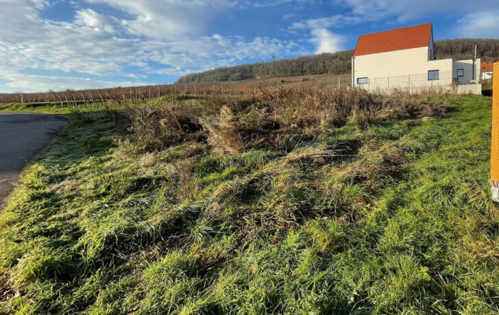 BEAU TERRAIN DE CONSTRUCTION 643 m2