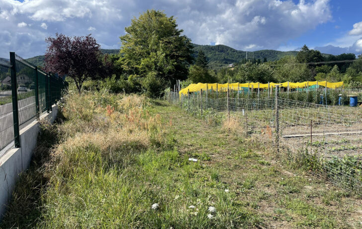BUHL, 10 ARES DE TERRAIN CONSTRUCTIBLE