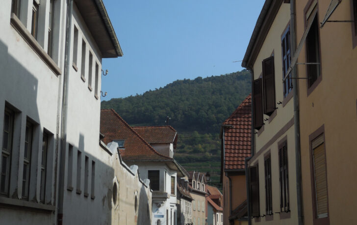 SPECIAL INVESTISSEUR, MAISON DE VILLE et DEPENDANCE