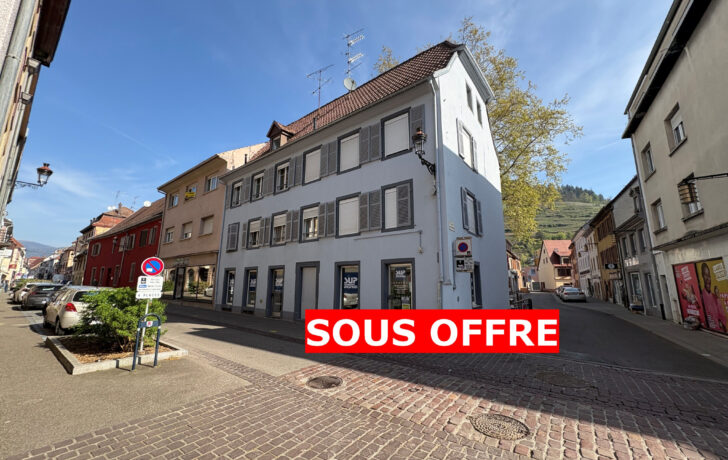 IMMEUBLE DE RAPPORT 4 LOGEMENTS et 1 LOCAL COMMERCIAL