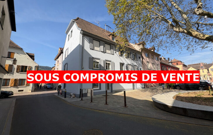 IMMEUBLE DE RAPPORT 4 LOGEMENTS et 1 LOCAL COMMERCIAL