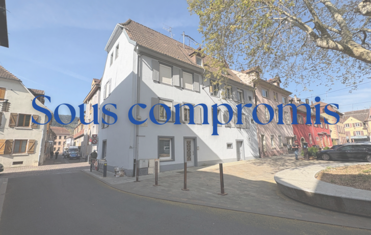 IMMEUBLE DE RAPPORT 4 LOGEMENTS et 1 LOCAL COMMERCIAL