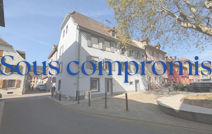 IMMEUBLE DE RAPPORT 4 LOGEMENTS et 1 LOCAL COMMERCIAL