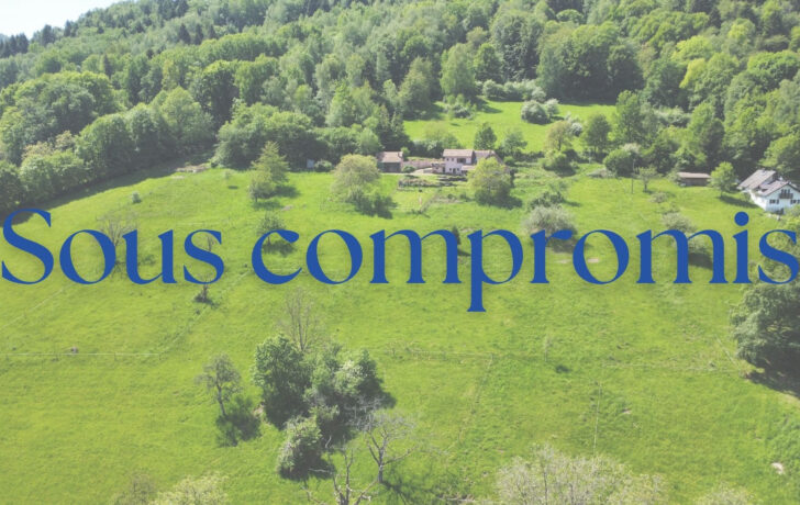 PROPRIETE D’EXCEPTION AU CHARME AUTHENTIQUE