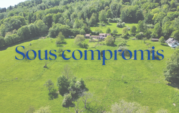 PROPRIETE D&rsquo;EXCEPTION AU CHARME AUTHENTIQUE